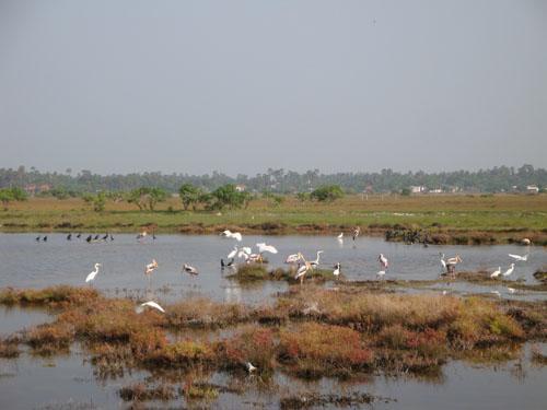 Sai Holiday Inn Jaffna Dış mekan fotoğraf